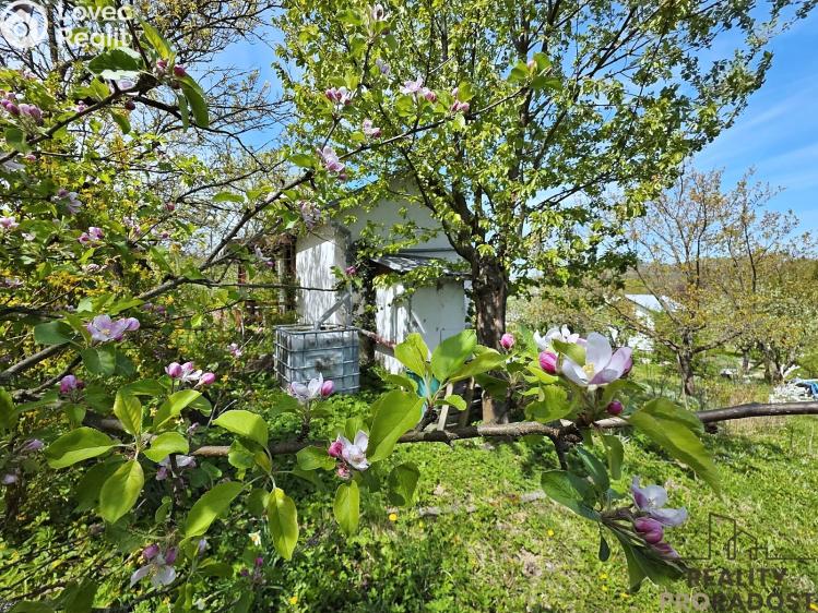 Prodej chaty Brno č. 11