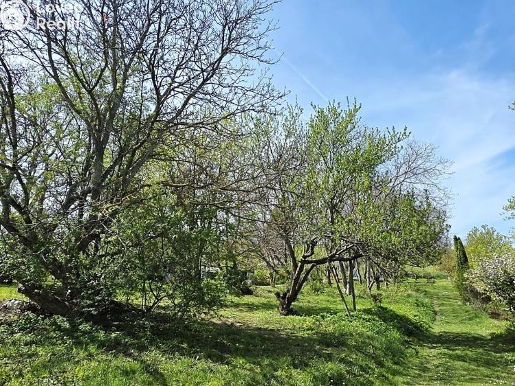 Prodej chaty Brno č. 19