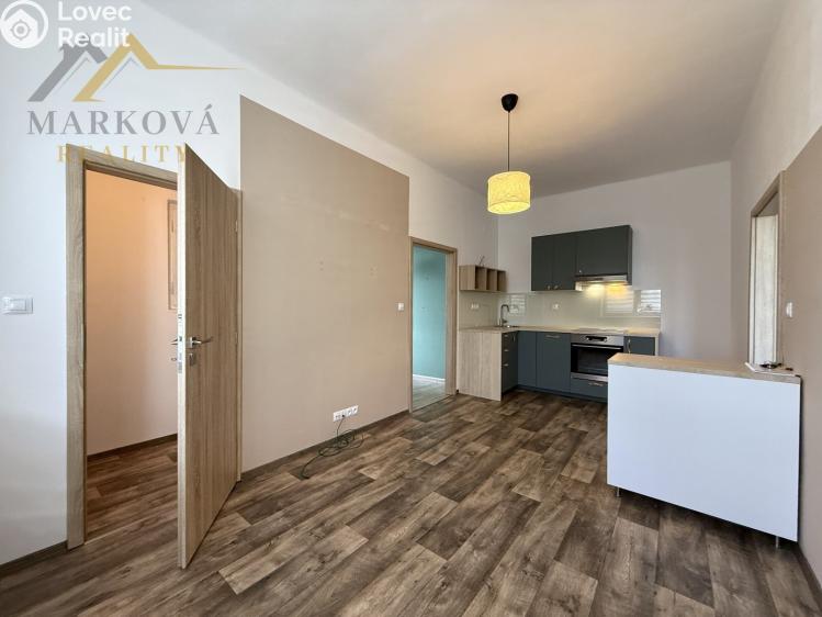 Pronájem bytu 2+KK Týn nad Vltavou, Jiráskova 81 č. 3