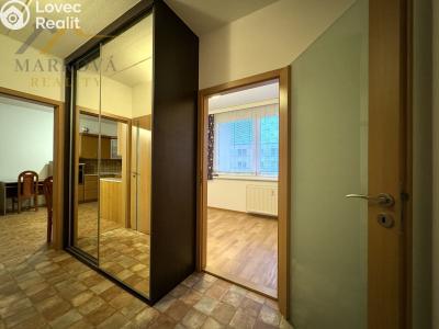 Pronájem bytu 3+KK Týn nad Vltavou, Vodňanská 463 č. 4