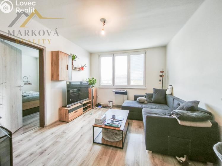 Pronájem bytu 3+1 Veselí nad Lužnicí, Ak. Bydžovského 368 č. 4