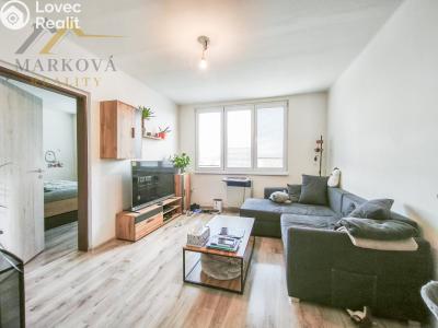 Pronájem bytu 3+1 Veselí nad Lužnicí, Ak. Bydžovského 368 č. 4