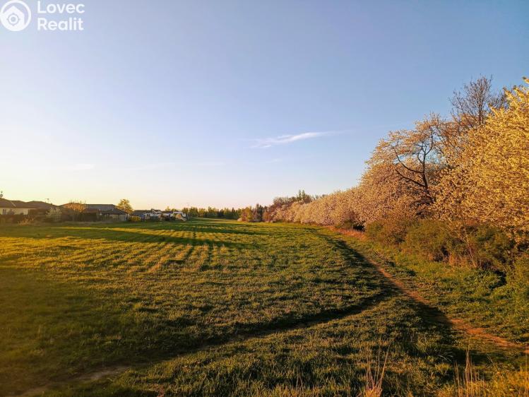 Prodej rodinného domu Srubec, Horní 986 č. 7