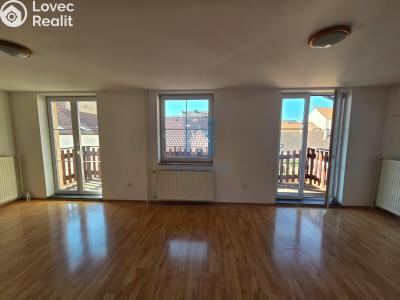 Pronájem bytu 4+KK Plzeň, Přemyslova č. 6