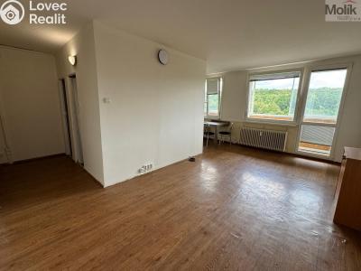 Pronájem bytu 1+1 Most, Brněnská č. 2