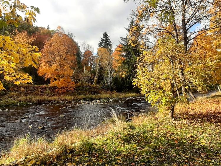 Prodej chalupy Kašperské Hory č. 12