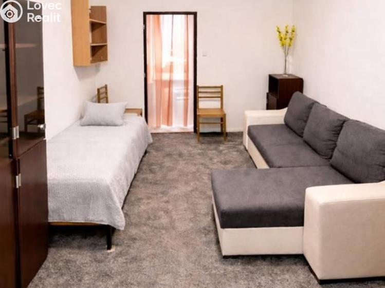 Pronájem bytu 1+1 Praha č. 2