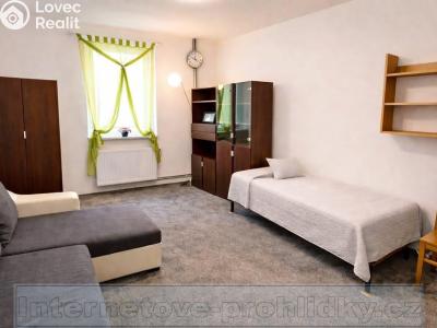 Pronájem bytu 1+1 Praha č. 1