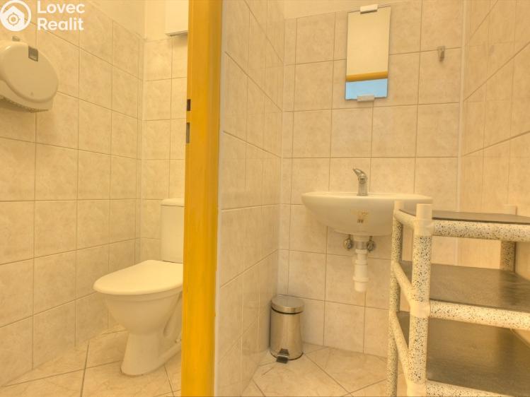 Prodej obchodního prostoru Studenec č. 13