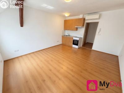 Pronájem bytu 1+KK Znojmo, Veselá č. 2