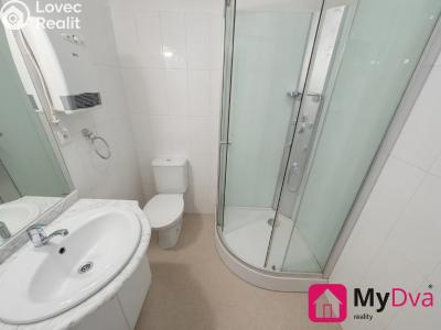 Pronájem bytu 1+KK Znojmo, Veselá č. 4