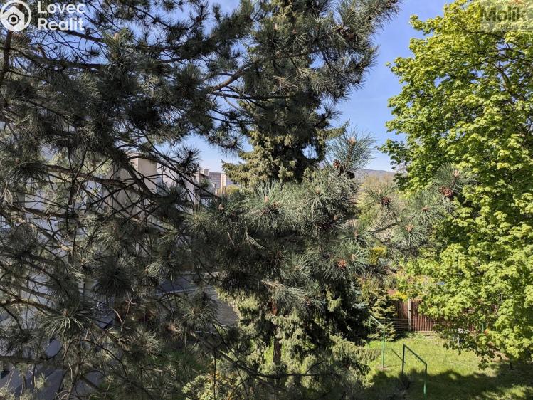 Pronájem bytu 2+1 Duchcov, Teplická 639/73 č. 12