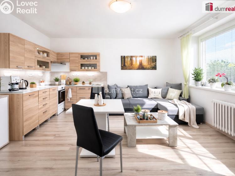 Pronájem bytu 2+KK Ústí nad Labem, Brandtova č. 1