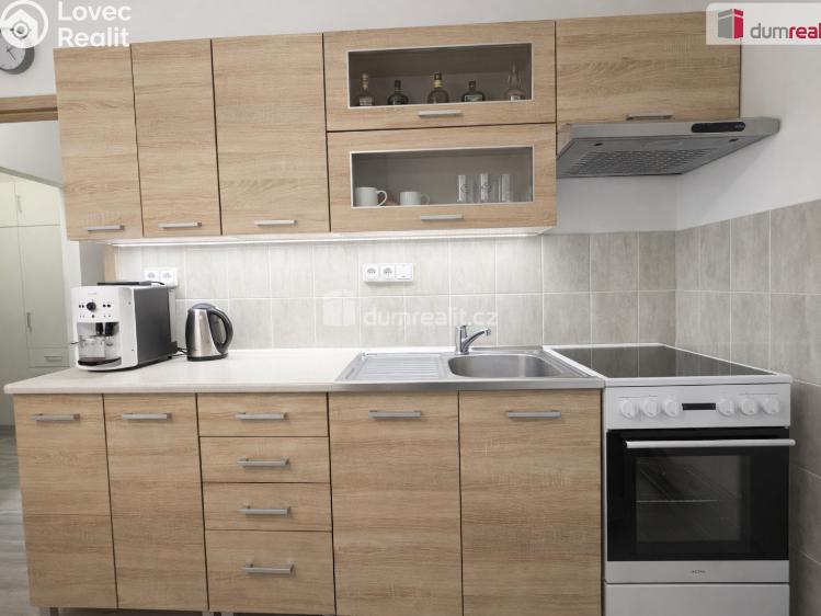 Pronájem bytu 2+KK Ústí nad Labem, Brandtova č. 4