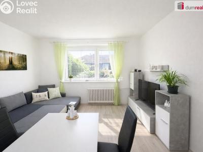 Pronájem bytu 2+KK Ústí nad Labem, Brandtova č. 2