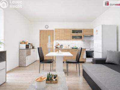 Pronájem bytu 2+KK Ústí nad Labem, Brandtova č. 3