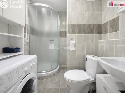 Pronájem bytu 2+KK Ústí nad Labem, Brandtova č. 6