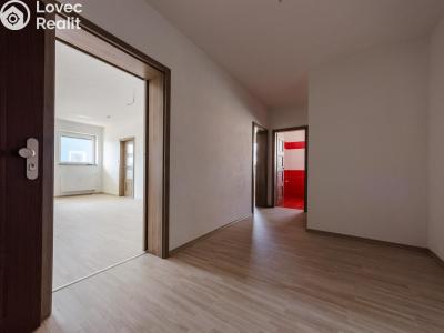 Sale apartment 3+KK Chýnov, Slunečný vrch č. 9