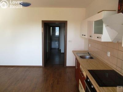 Pronájem bytu 3+KK Planá nad Lužnicí, Okružní č. 5