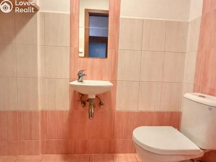 Pronájem atypického bytu Třemošná, Plzeňská 156 č. 8