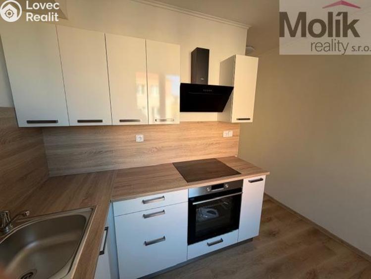 Pronájem bytu 2+1 Duchcov, Jungmannova 1256/16 č. 4