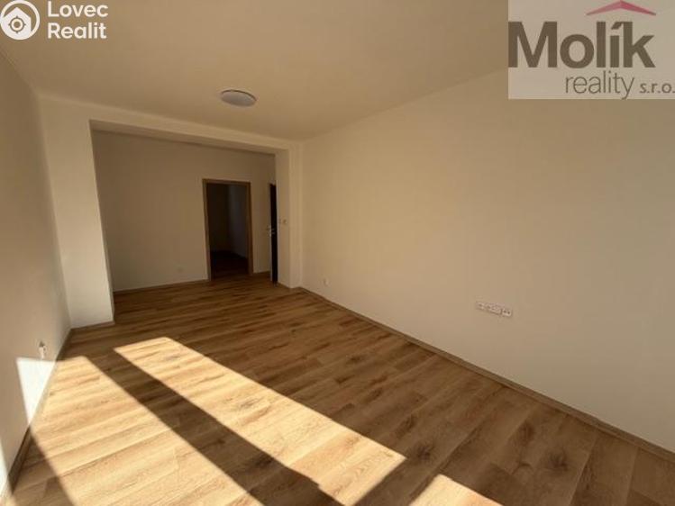 Pronájem bytu 2+1 Duchcov, Jungmannova 1256/16 č. 5