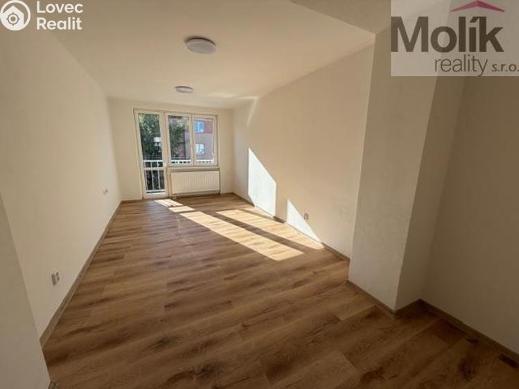 Pronájem bytu 2+1 Duchcov, Jungmannova 1256/16 č. 6