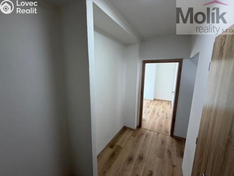 Pronájem bytu 2+1 Duchcov, Jungmannova 1256/16 č. 8