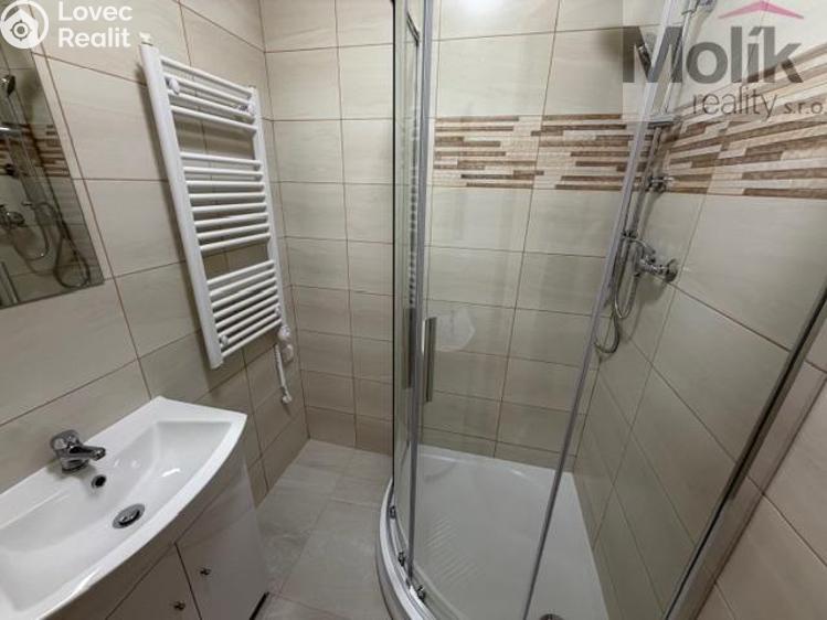 Pronájem bytu 2+1 Duchcov, Jungmannova 1256/16 č. 9