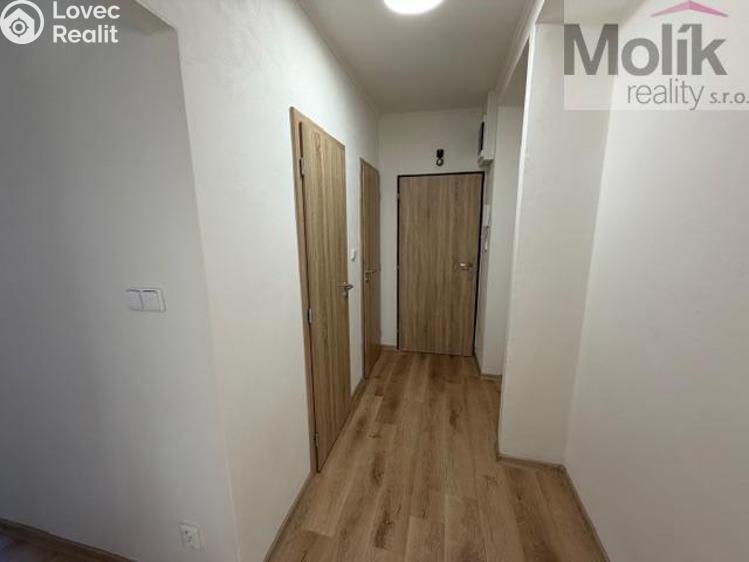 Pronájem bytu 2+1 Duchcov, Jungmannova 1256/16 č. 13