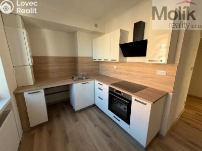 Pronájem bytu 2+1 Duchcov, Jungmannova č. 3