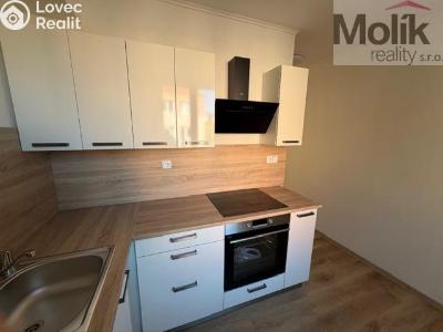 Pronájem bytu 2+1 Duchcov, Jungmannova č. 4