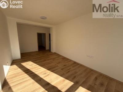 Pronájem bytu 2+1 Duchcov, Jungmannova č. 5