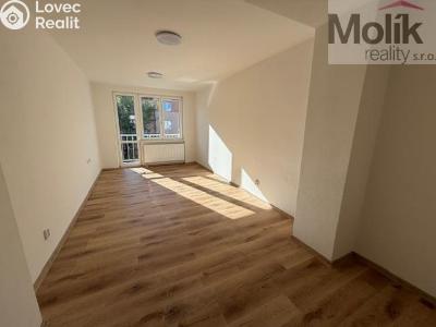 Pronájem bytu 2+1 Duchcov, Jungmannova č. 6