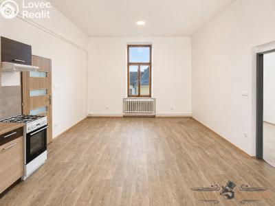 Pronájem bytu 3+KK Chrudim, Široká č. 1