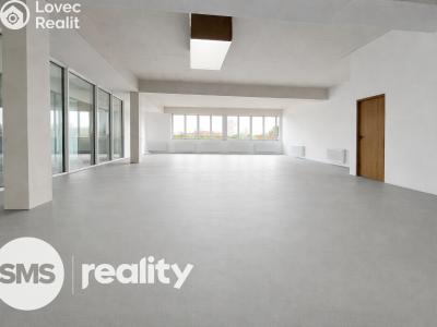 Pronájem obchodního prostoru Hlučín, Cihelní č. 1