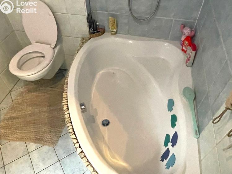 Prodej rodinného domu Dolní Poustevna č. 18