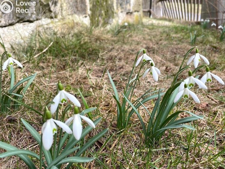 Prodej rodinného domu Dolní Poustevna č. 50