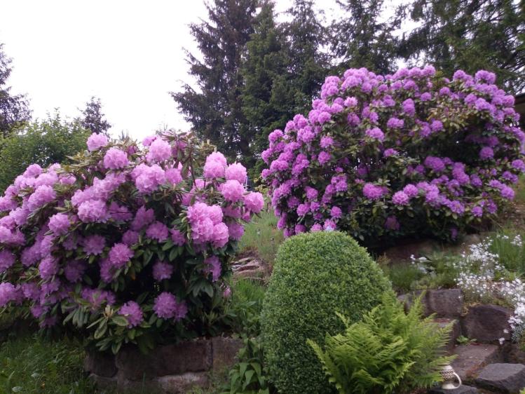 Prodej rodinného domu Dolní Poustevna č. 53