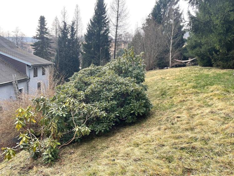 Prodej rodinného domu Dolní Poustevna č. 47