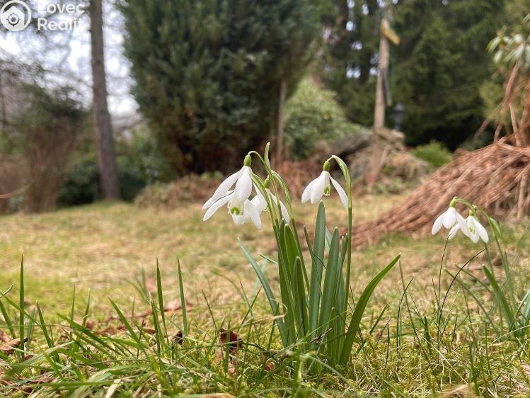 Prodej rodinného domu Dolní Poustevna č. 50