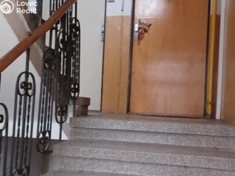 Prodej činžovního domu Děčín, Raisova č. 3