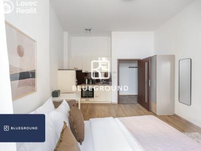 Pronájem bytu 1+KK Praha, Prvního pluku č. 5