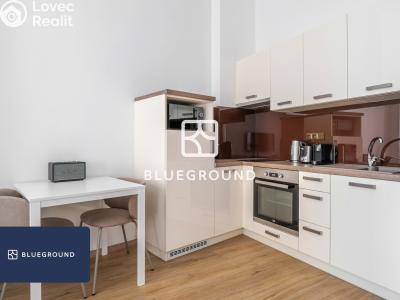 Pronájem bytu 1+KK Praha, Prvního pluku č. 6