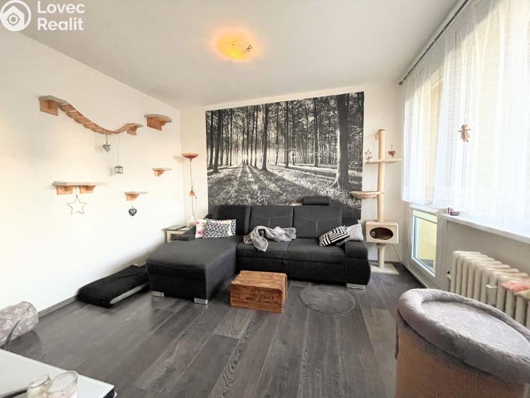 Prodej bytu 3+1 Česká Lípa, Červeného kříže č. 4