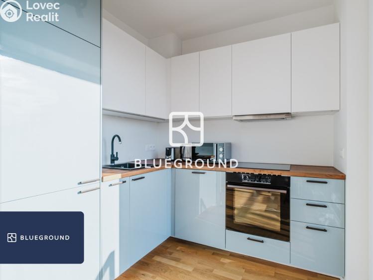 Pronájem bytu 1+KK Praha, Olgy Havlové č. 5