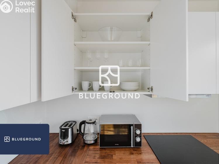 Pronájem bytu 1+KK Praha, Olgy Havlové č. 6