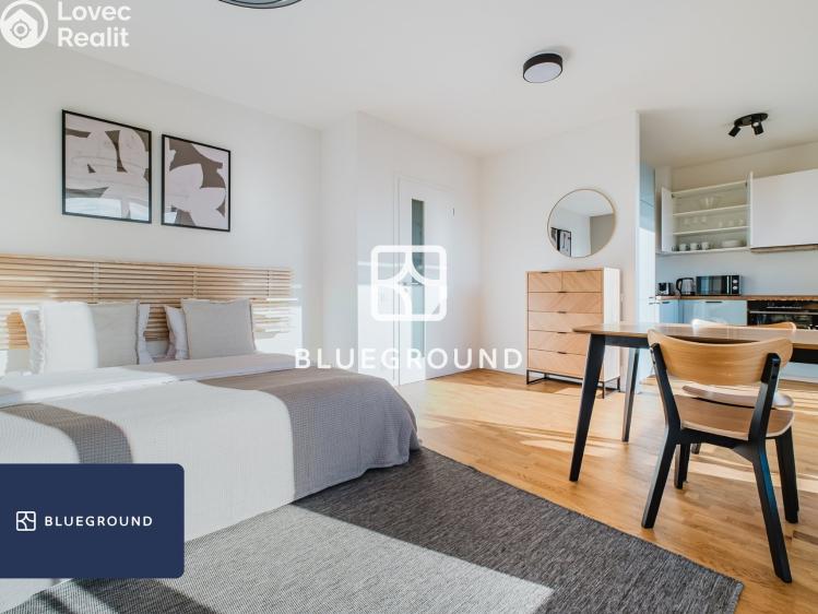 Pronájem bytu 1+KK Praha, Olgy Havlové č. 9