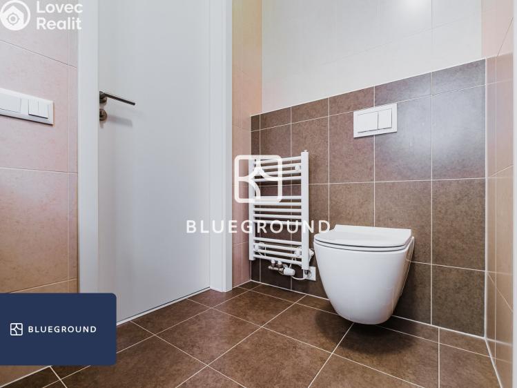 Pronájem bytu 1+KK Praha, Olgy Havlové č. 15