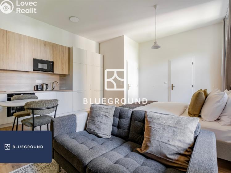 Pronájem bytu 1+KK Praha, Veletržní č. 5